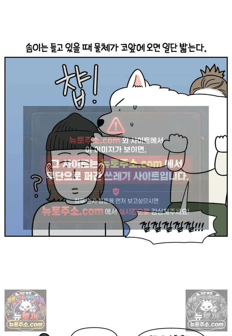 극한견주 시즌2 79화 솜이를 들고 나타나기 12