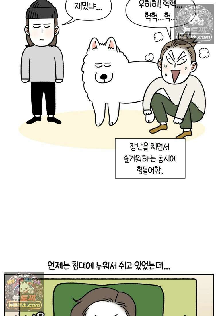 극한견주 시즌2 79화 솜이를 들고 나타나기 13