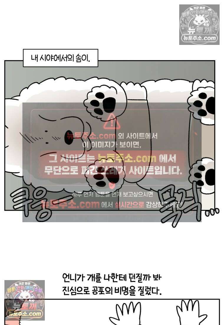 극한견주 시즌2 79화 솜이를 들고 나타나기 16