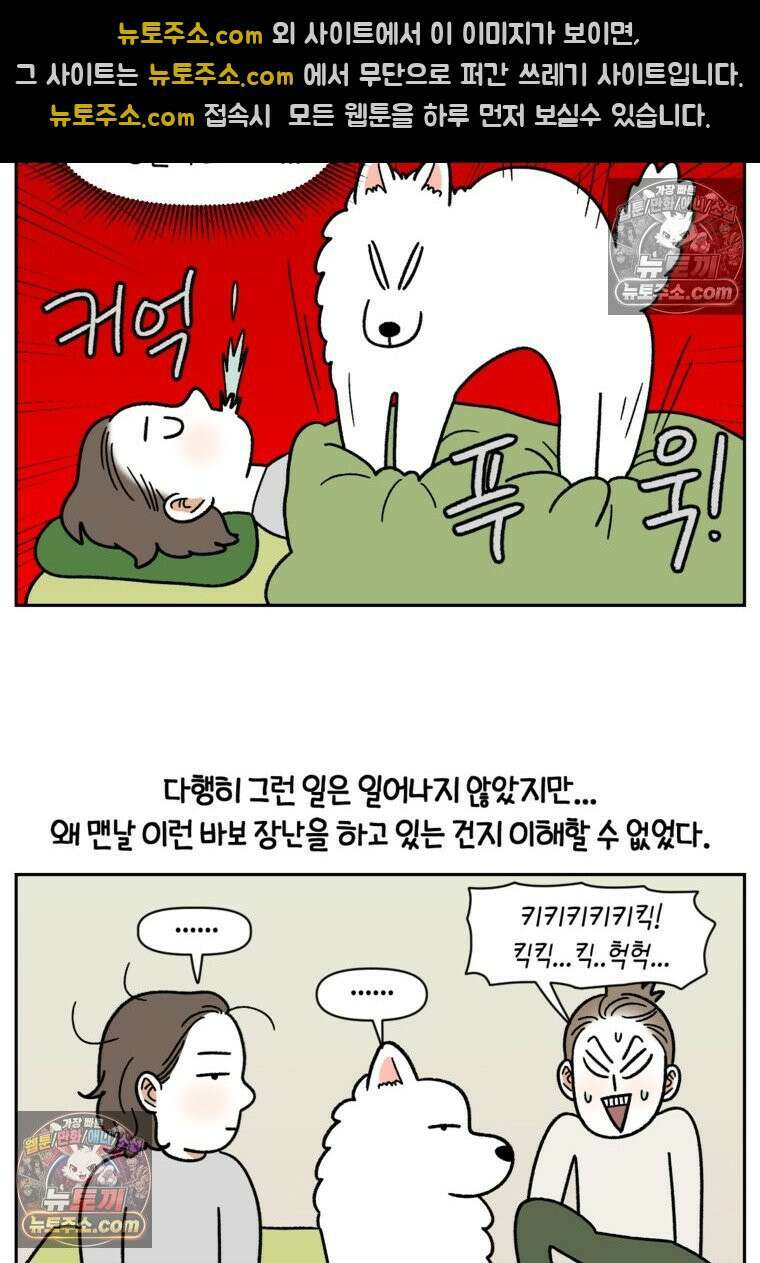 극한견주 시즌2 79화 솜이를 들고 나타나기 18