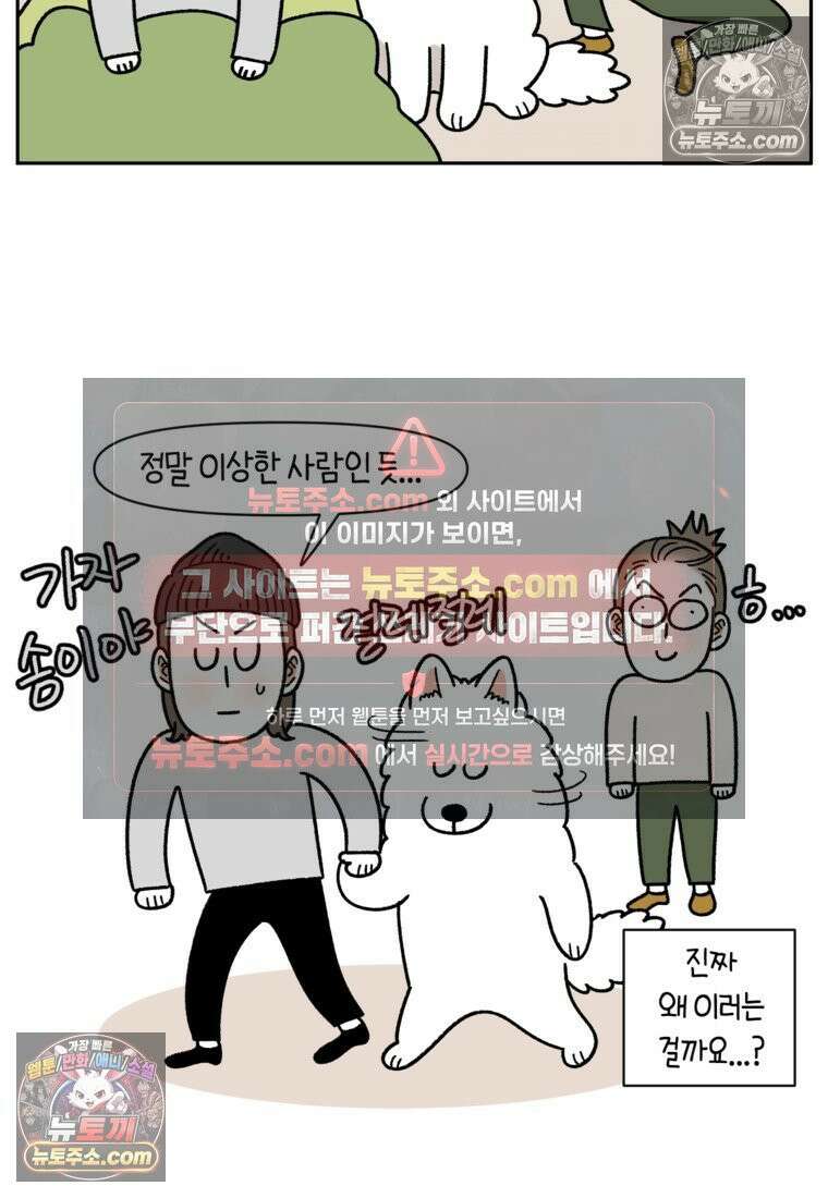 극한견주 시즌2 79화 솜이를 들고 나타나기 19