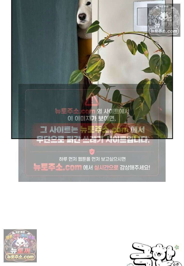 극한견주 시즌2 79화 솜이를 들고 나타나기 26