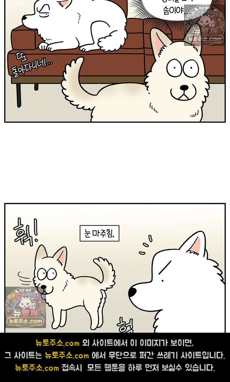 극한견주 시즌2 108화 합사 성공 3
