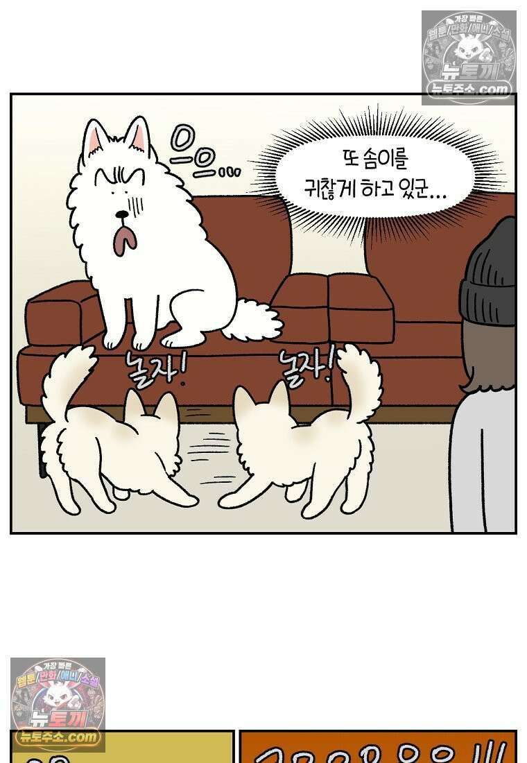 극한견주 시즌2 108화 합사 성공 5