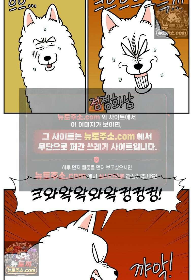 극한견주 시즌2 108화 합사 성공 6