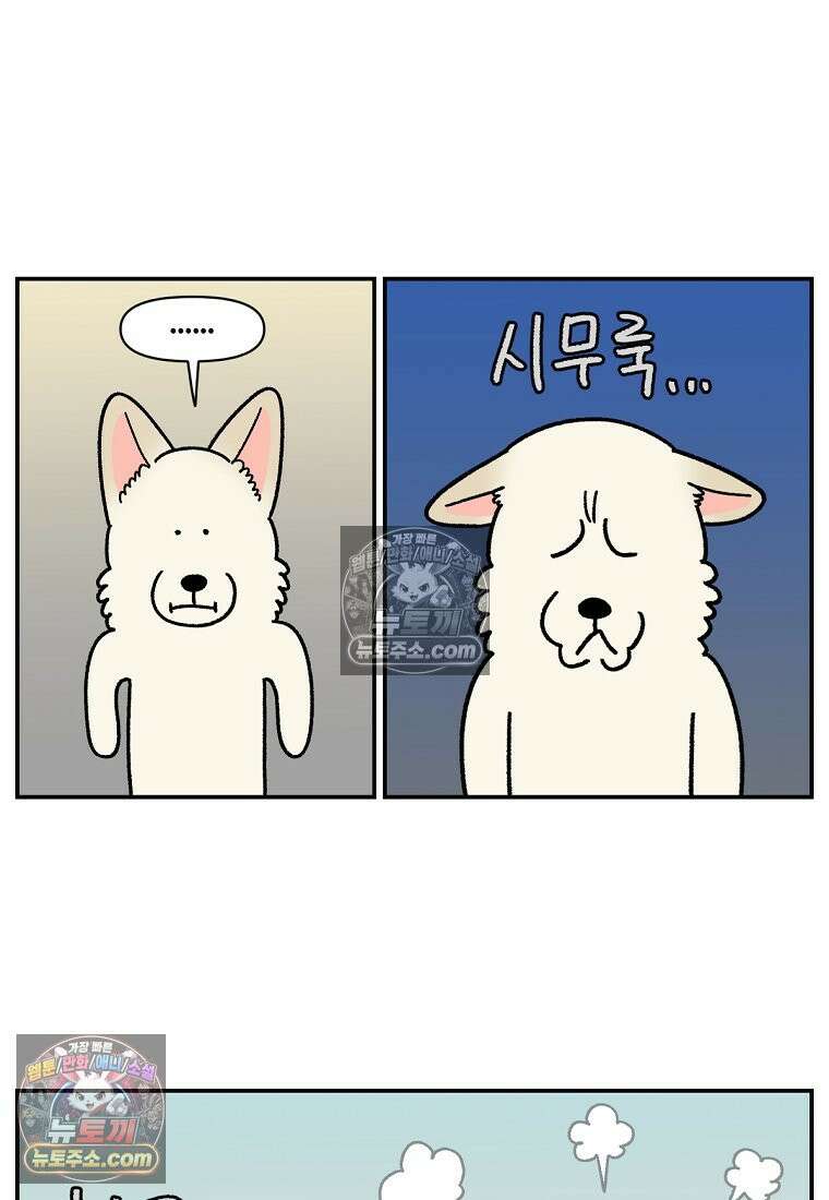 극한견주 시즌2 108화 합사 성공 8