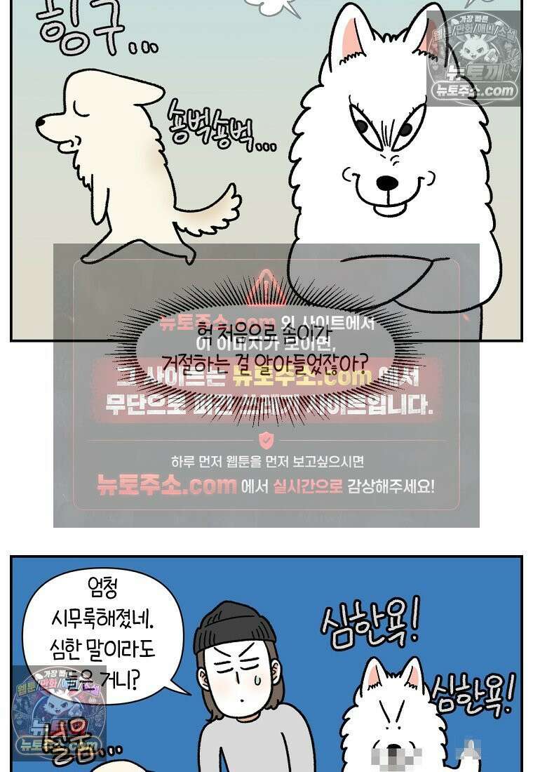 극한견주 시즌2 108화 합사 성공 9