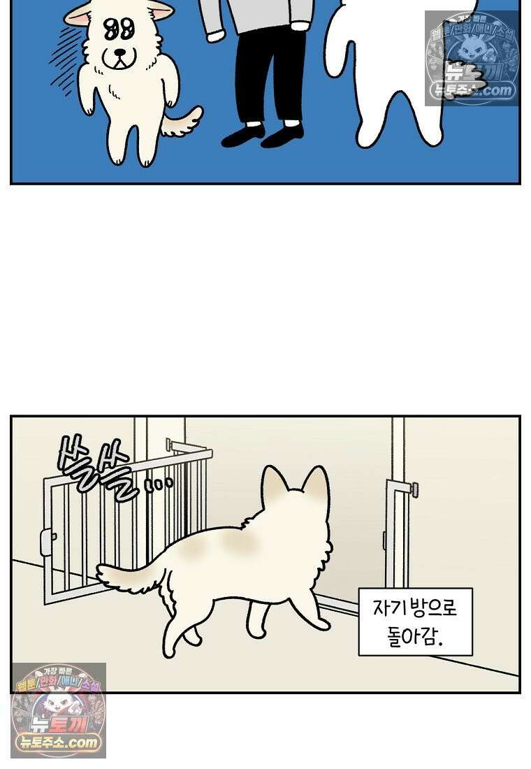 극한견주 시즌2 108화 합사 성공 10