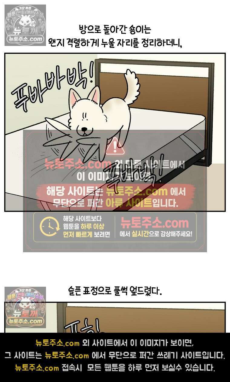 극한견주 시즌2 108화 합사 성공 11
