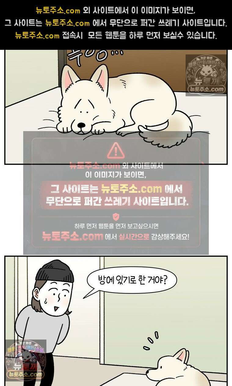 극한견주 시즌2 108화 합사 성공 12