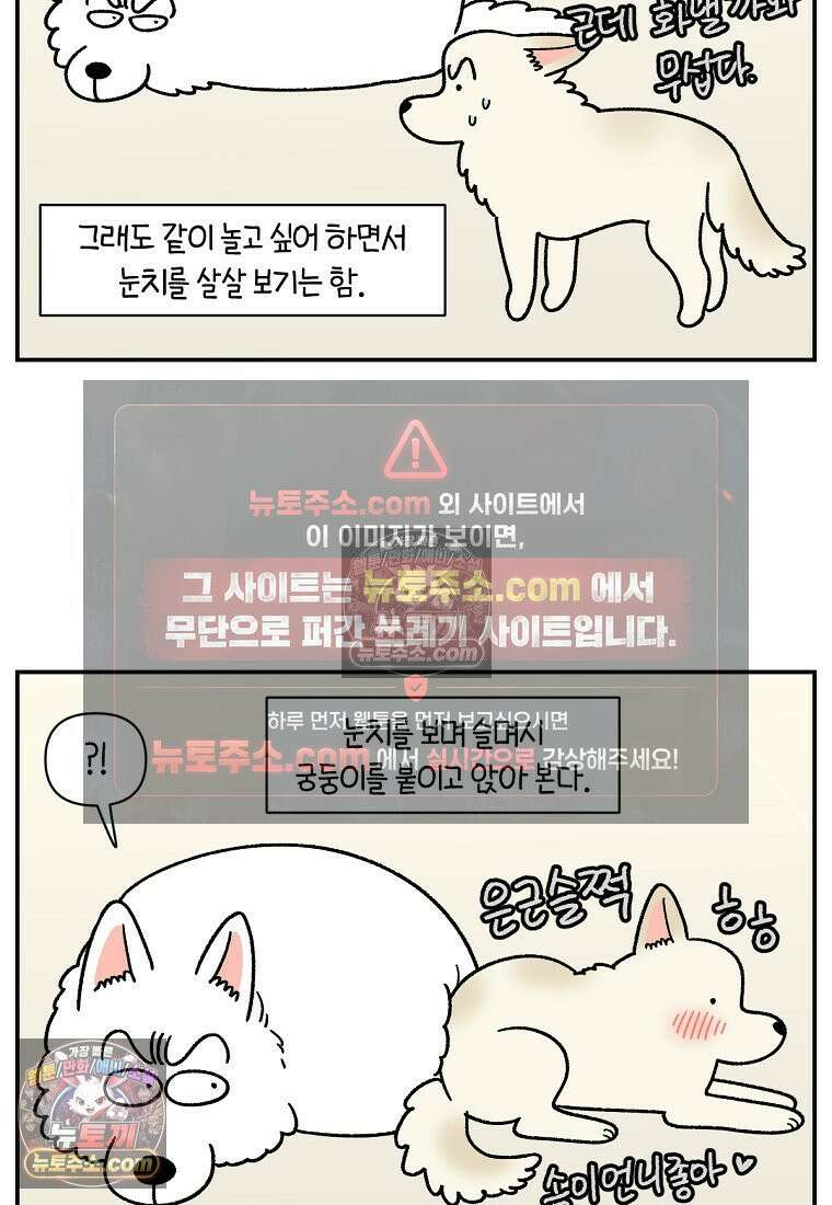 극한견주 시즌2 108화 합사 성공 16