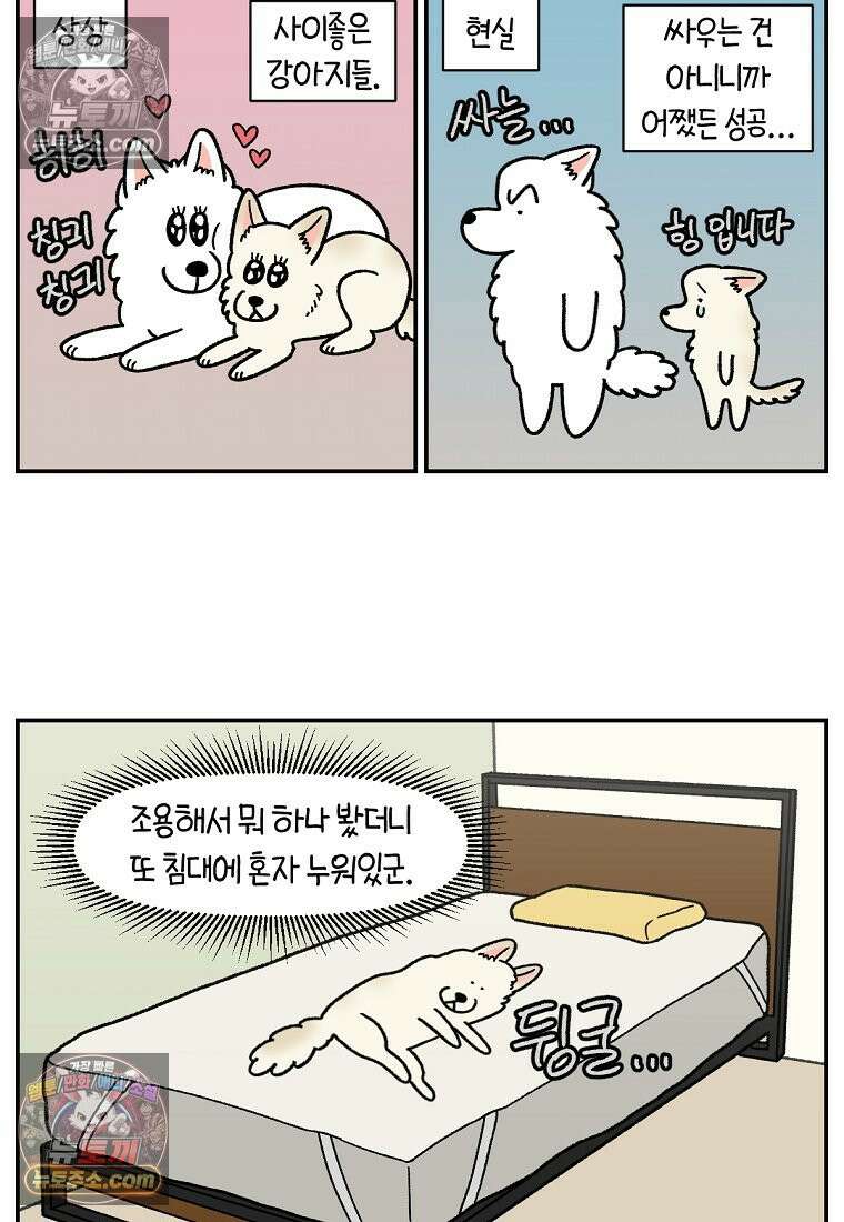 극한견주 시즌2 108화 합사 성공 18