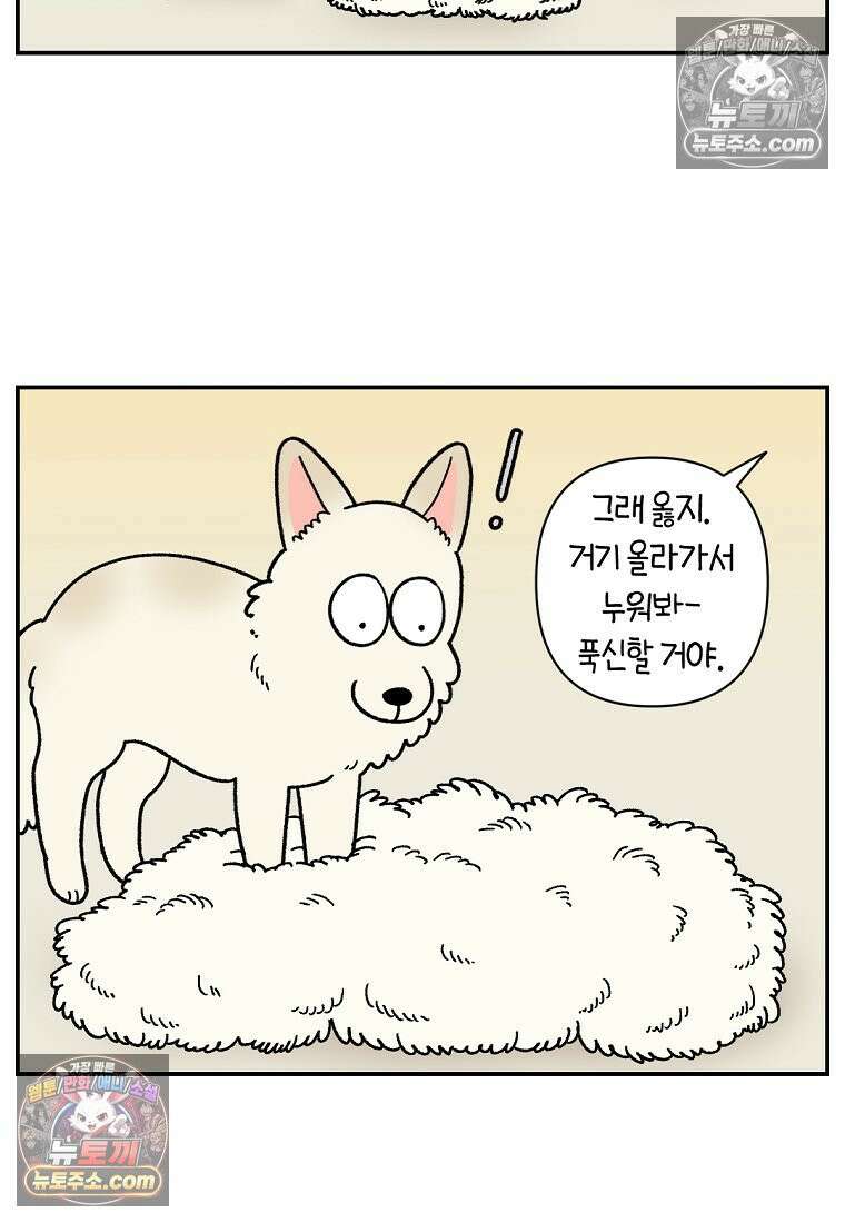 극한견주 시즌2 108화 합사 성공 20