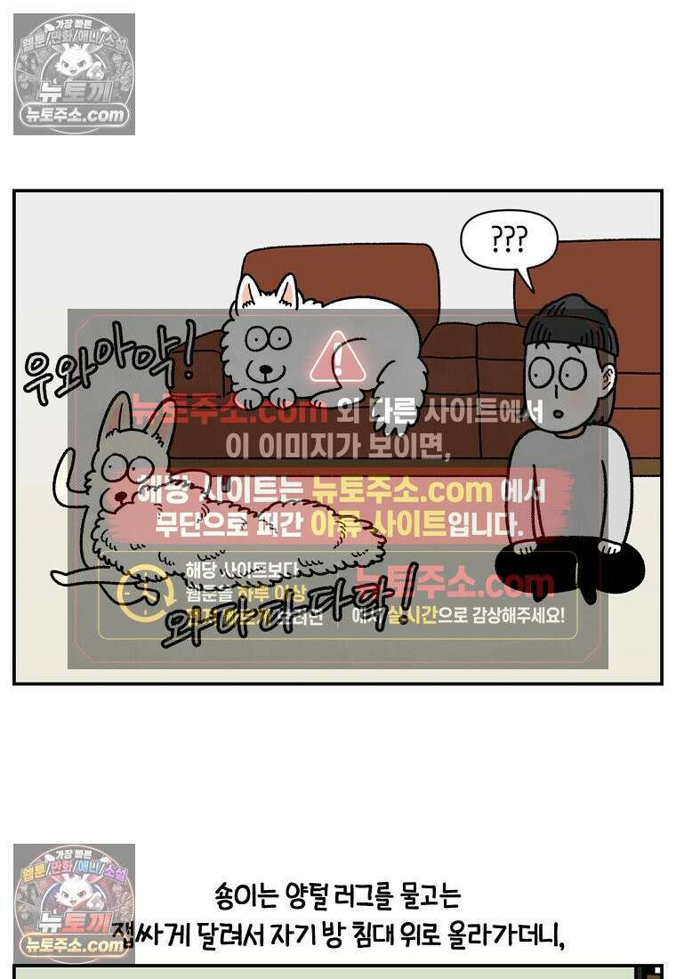 극한견주 시즌2 108화 합사 성공 21