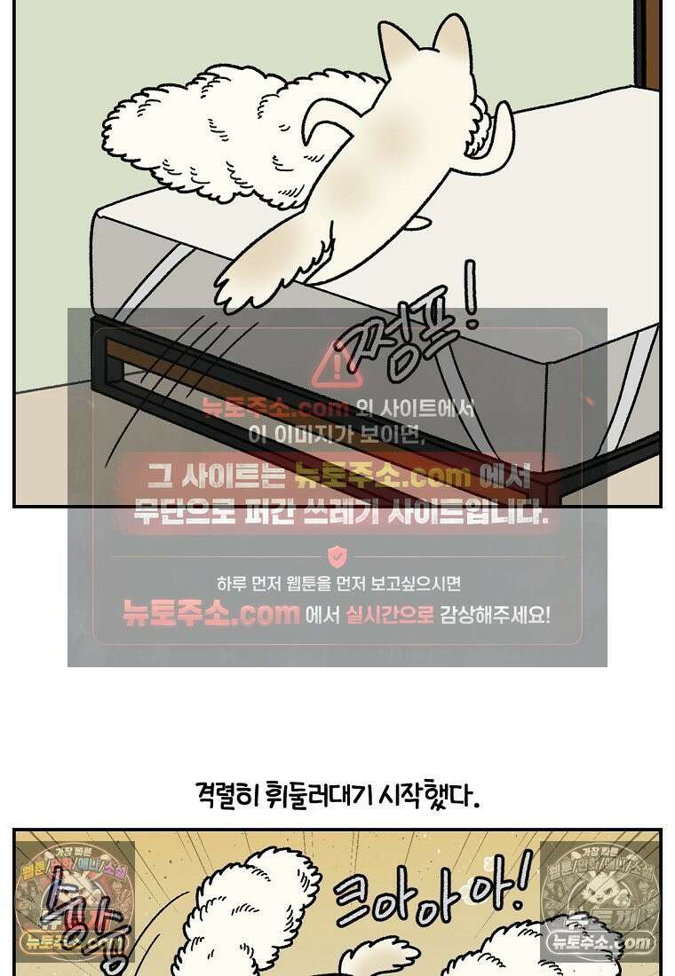 극한견주 시즌2 108화 합사 성공 22
