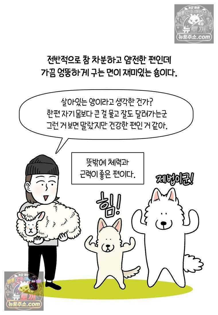 극한견주 시즌2 108화 합사 성공 25