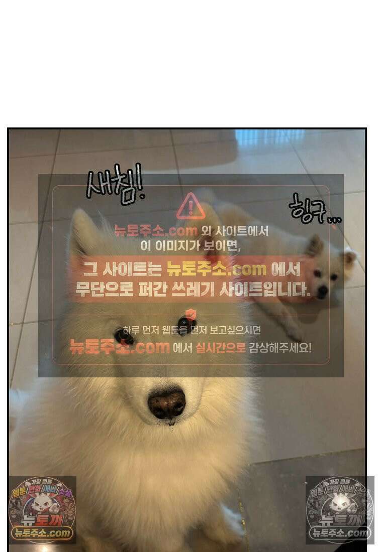 극한견주 시즌2 108화 합사 성공 26
