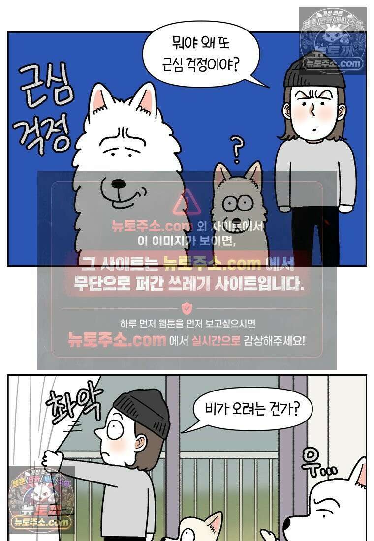 극한견주 시즌2 118화 비 오는 날의 숑이 2