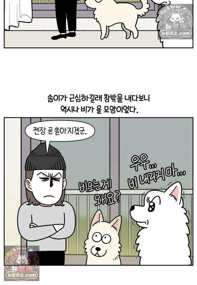 극한견주 시즌2 118화 비 오는 날의 숑이 3