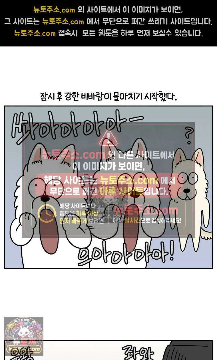 극한견주 시즌2 118화 비 오는 날의 숑이 4