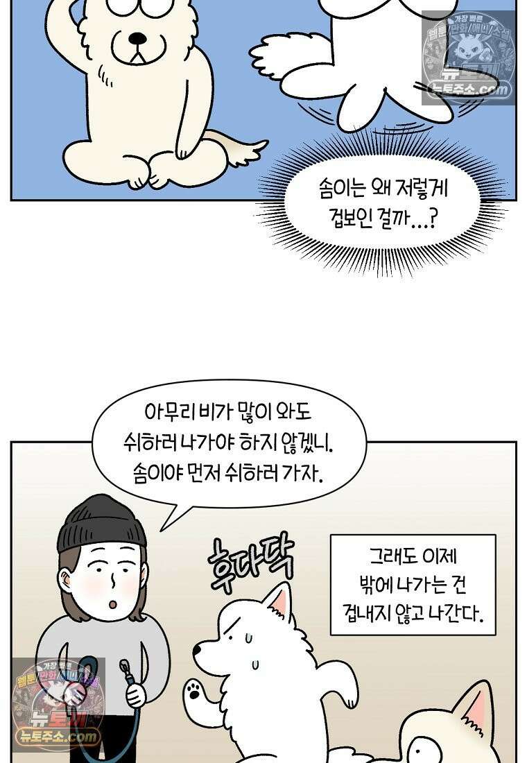 극한견주 시즌2 118화 비 오는 날의 숑이 6