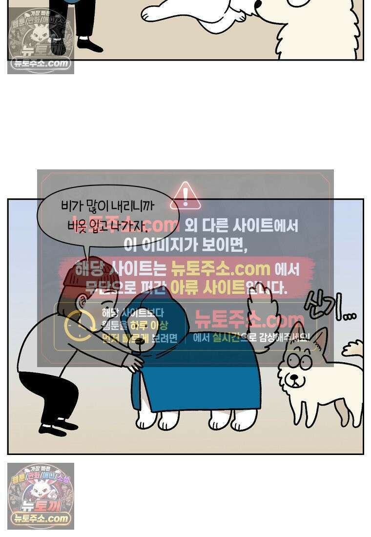 극한견주 시즌2 118화 비 오는 날의 숑이 7