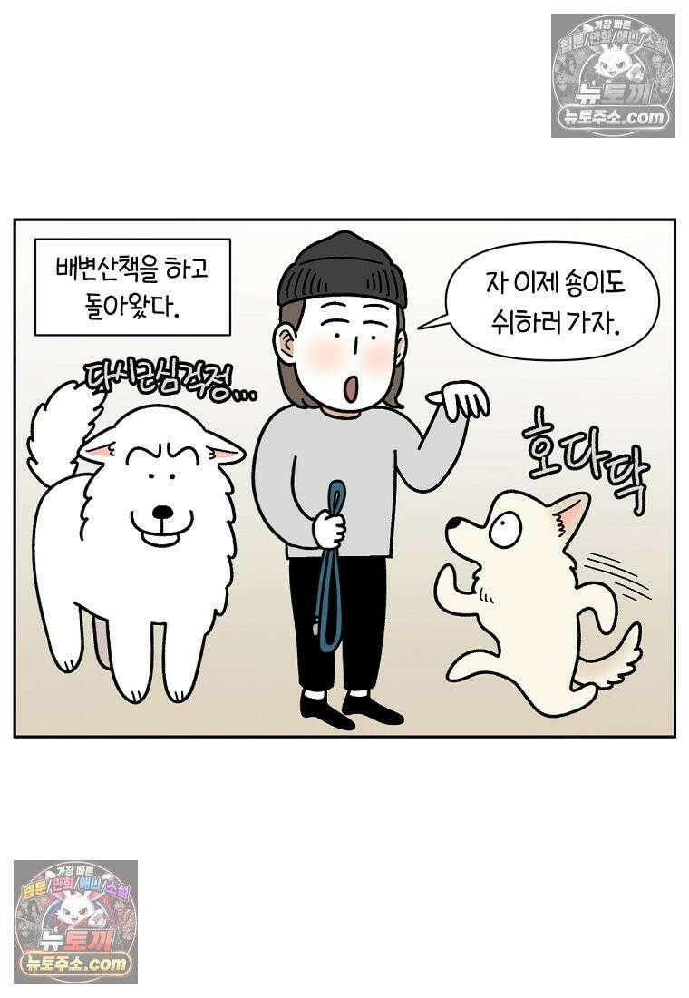극한견주 시즌2 118화 비 오는 날의 숑이 8