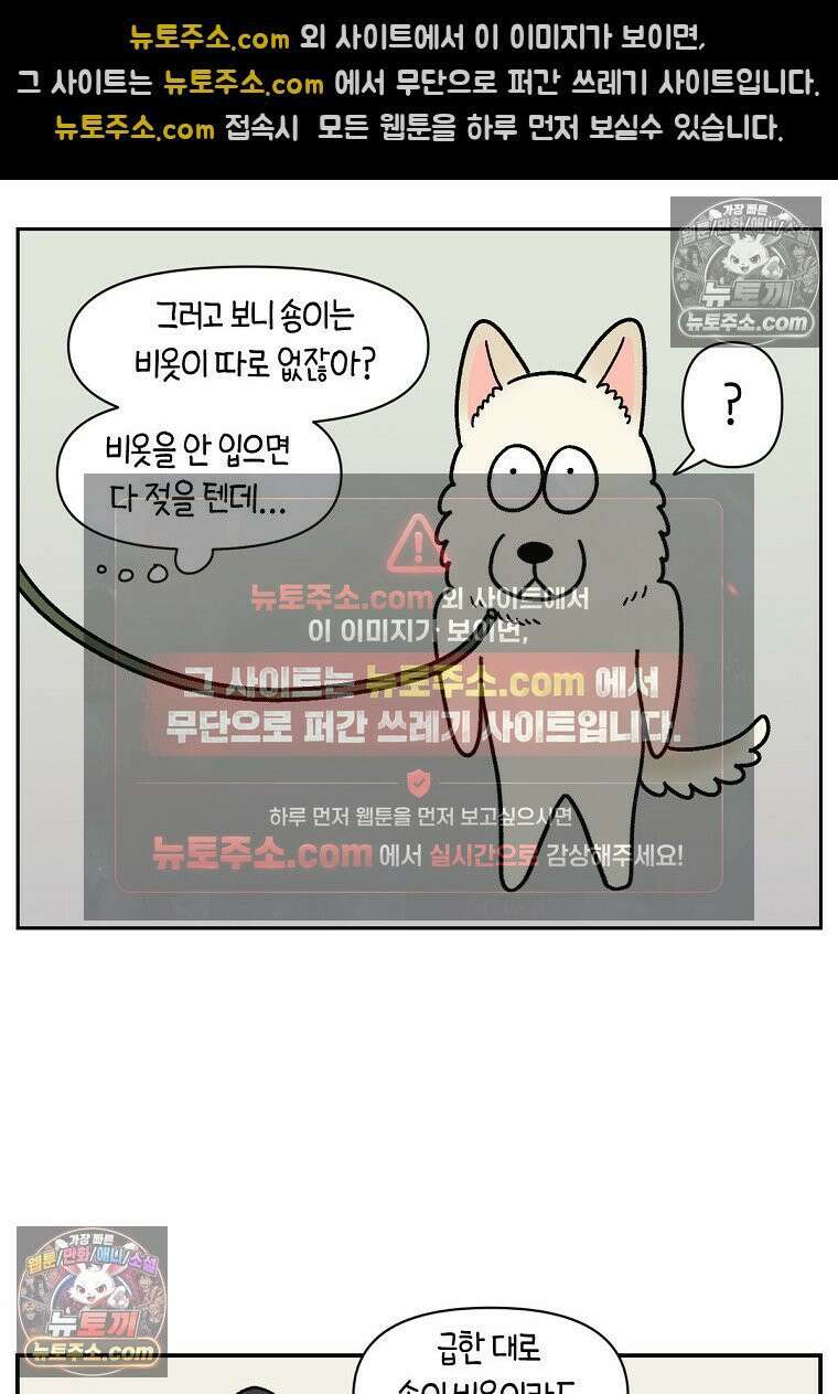 극한견주 시즌2 118화 비 오는 날의 숑이 9