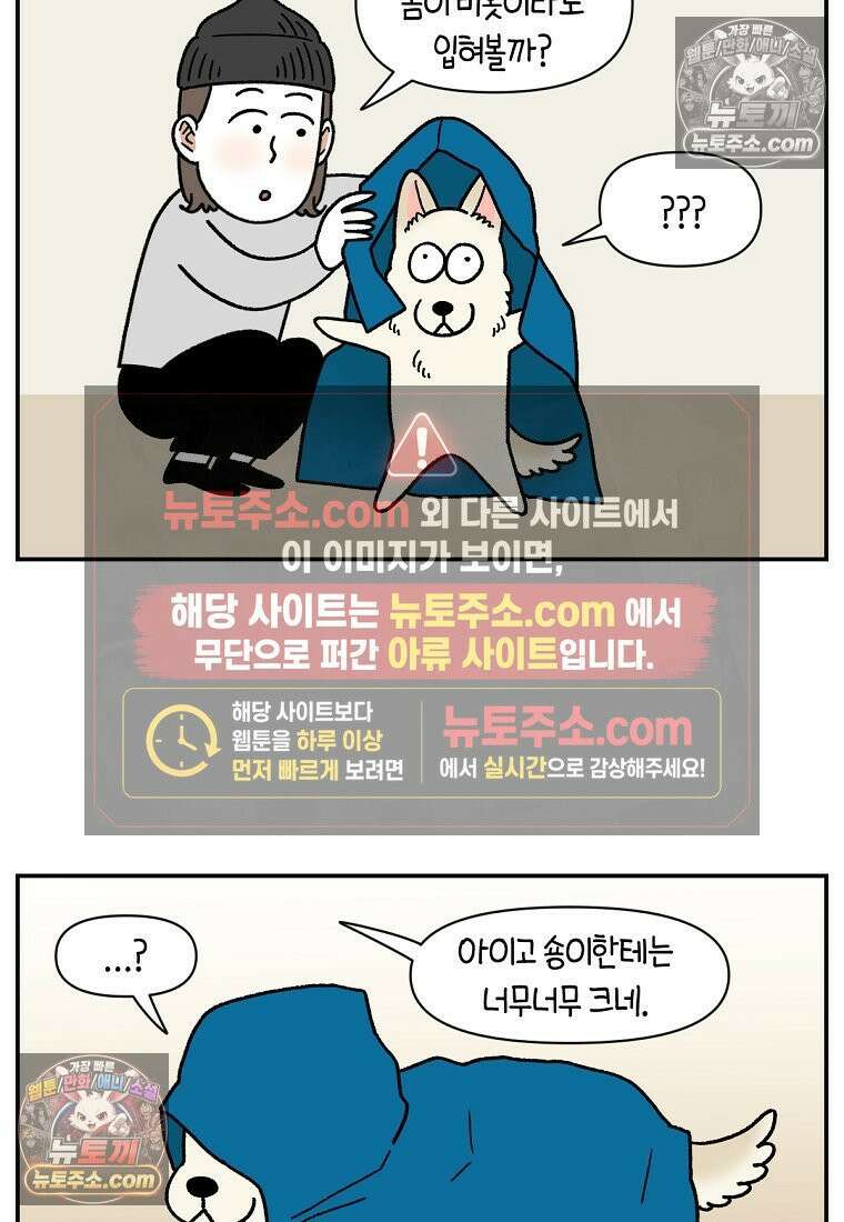 극한견주 시즌2 118화 비 오는 날의 숑이 10