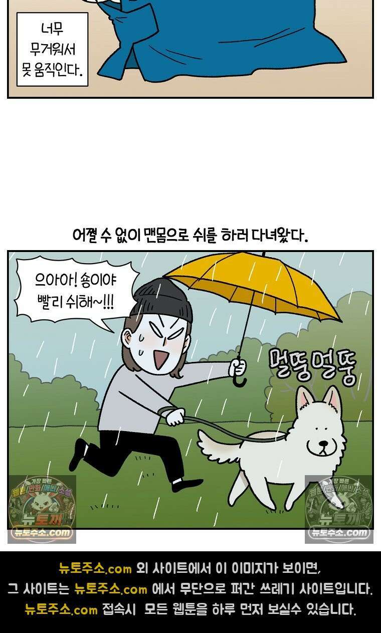 극한견주 시즌2 118화 비 오는 날의 숑이 11