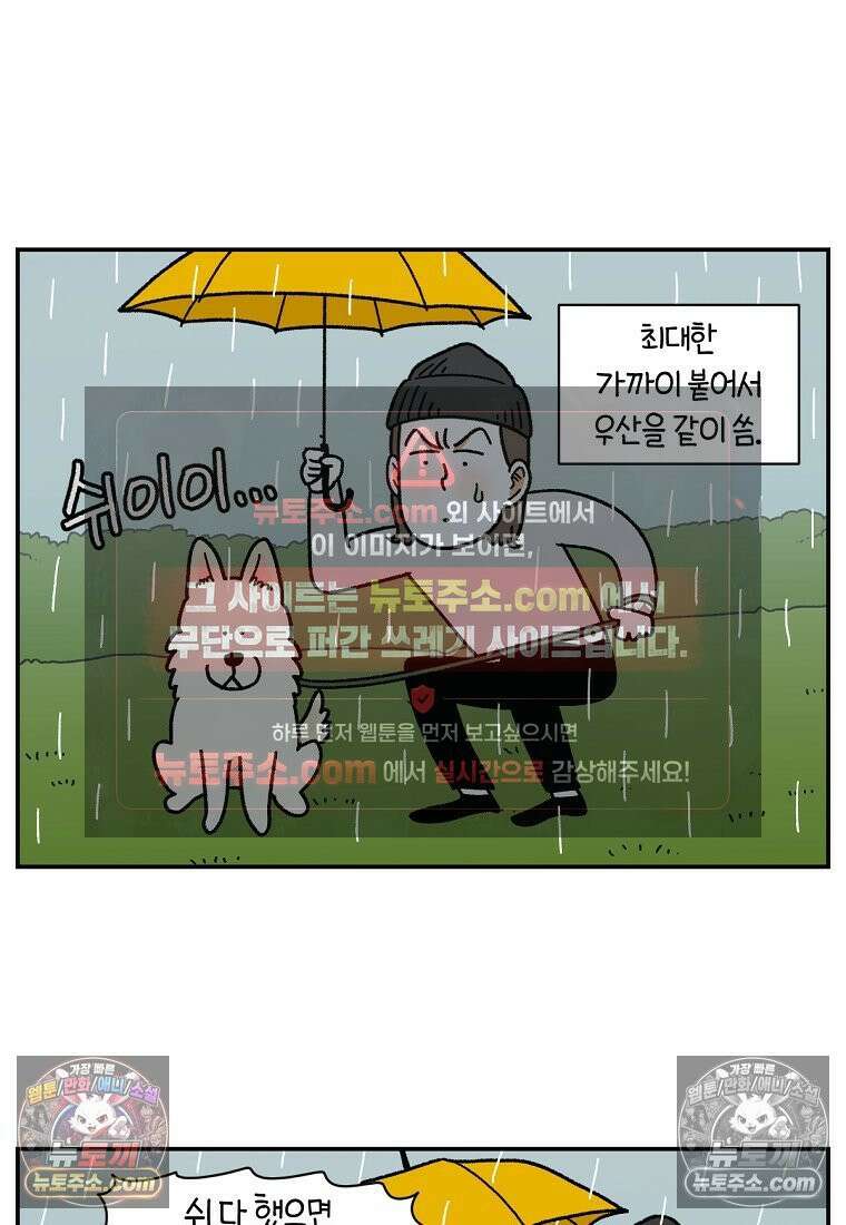 극한견주 시즌2 118화 비 오는 날의 숑이 12