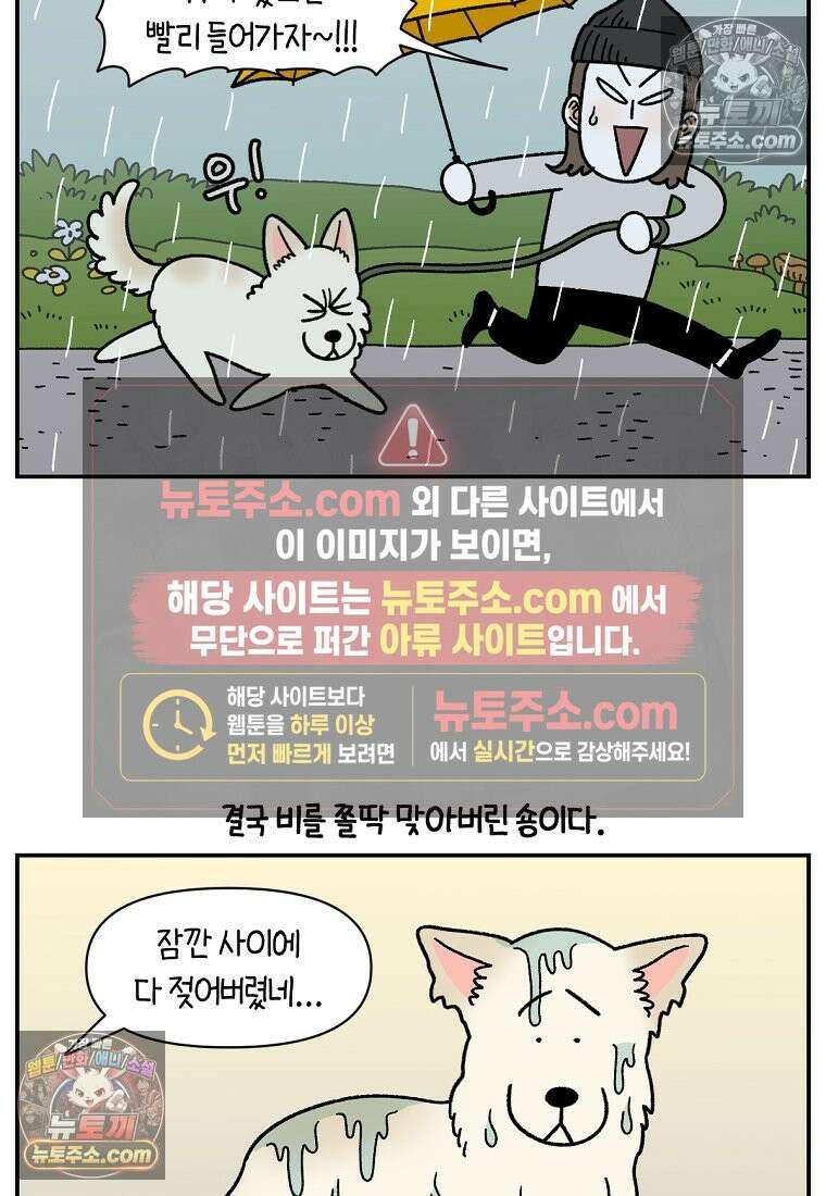 극한견주 시즌2 118화 비 오는 날의 숑이 13
