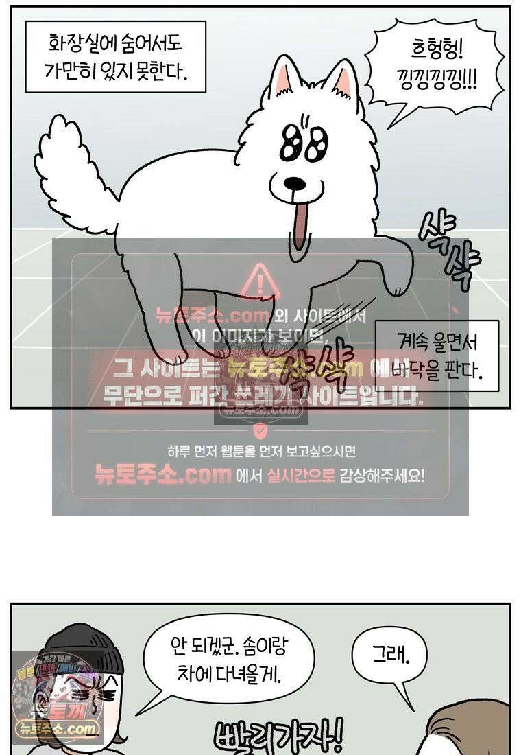 극한견주 시즌2 118화 비 오는 날의 숑이 21
