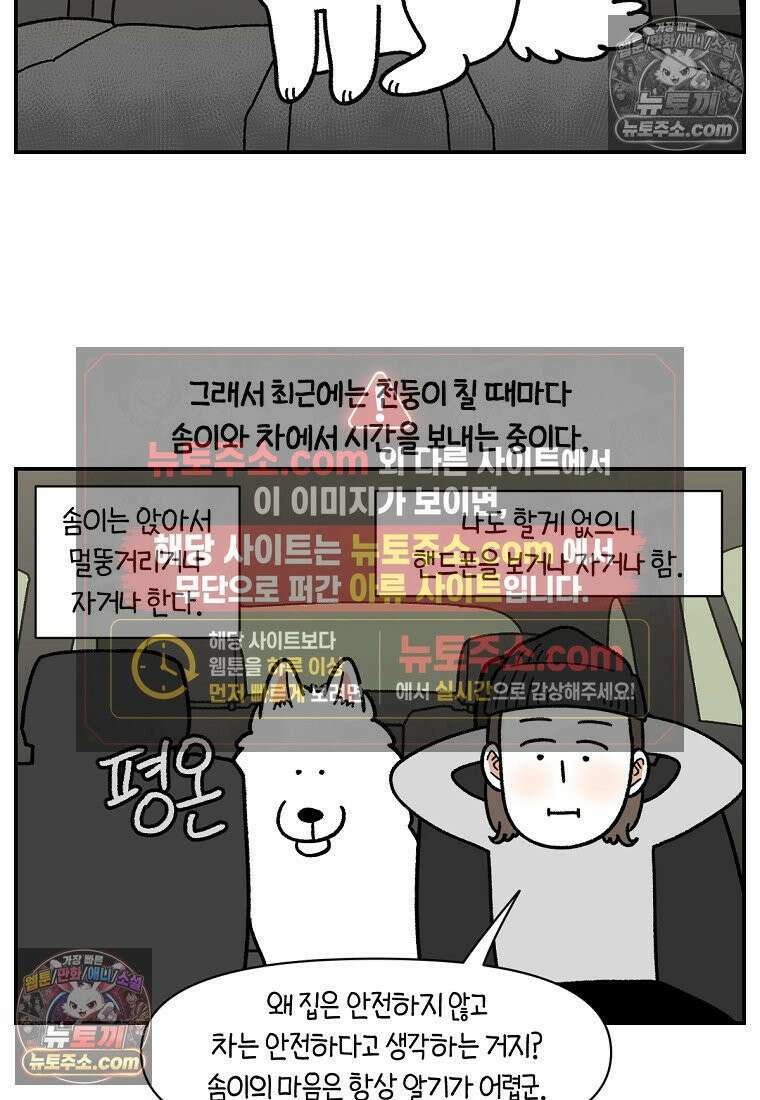 극한견주 시즌2 118화 비 오는 날의 숑이 23