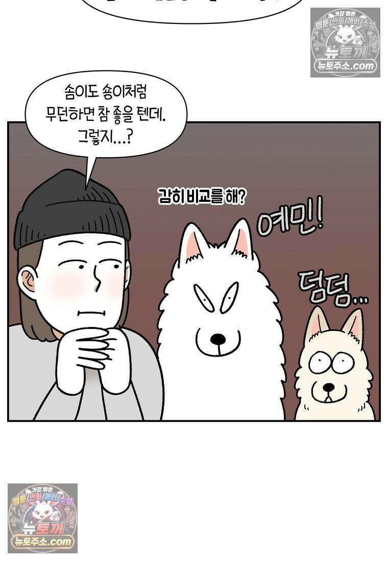 극한견주 시즌2 118화 비 오는 날의 숑이 24