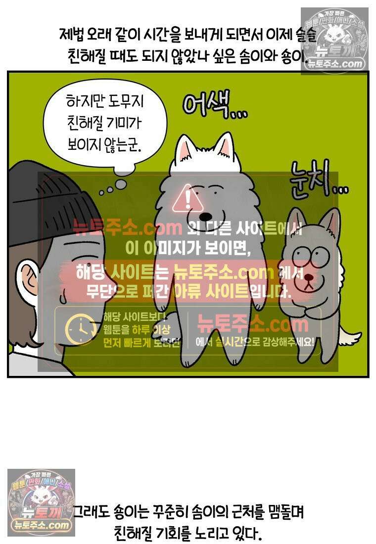 극한견주 시즌2 128화 솜이와 숑이의 싸움 2
