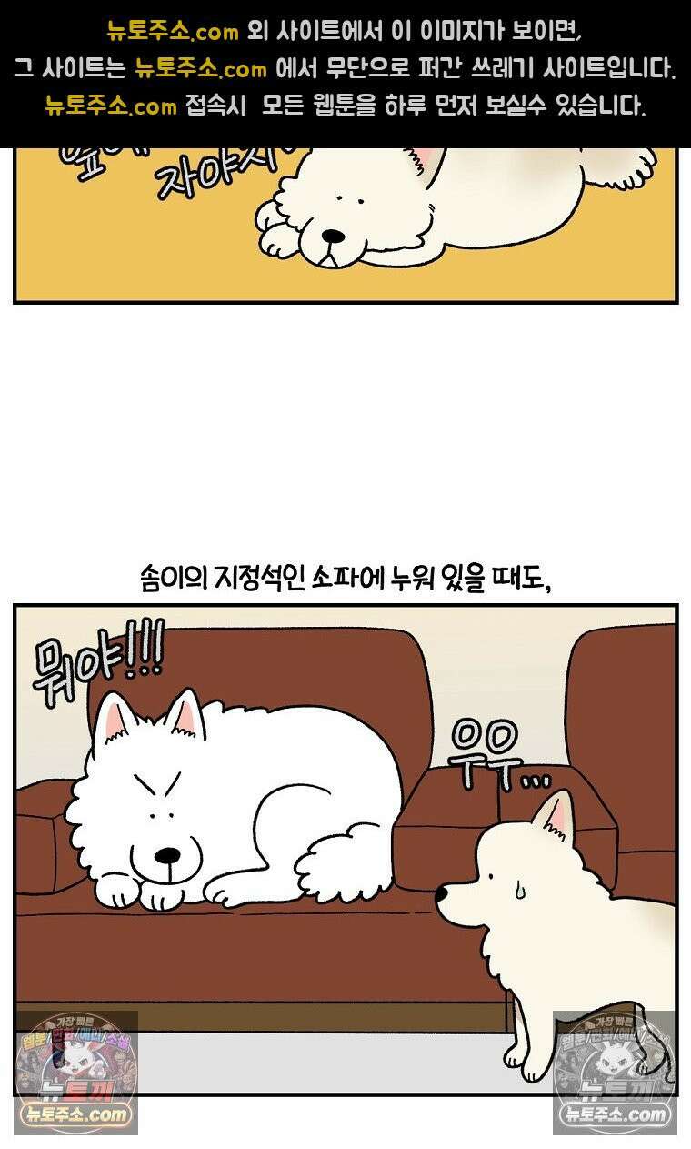 극한견주 시즌2 128화 솜이와 숑이의 싸움 5