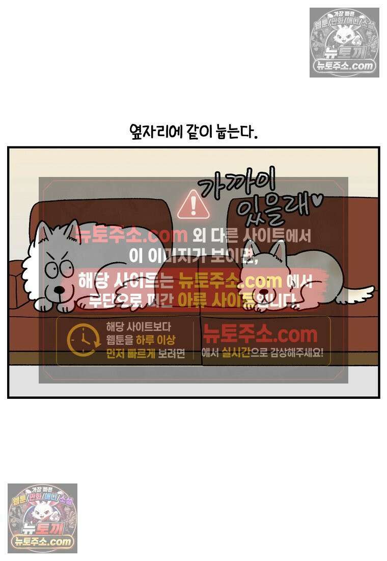 극한견주 시즌2 128화 솜이와 숑이의 싸움 6