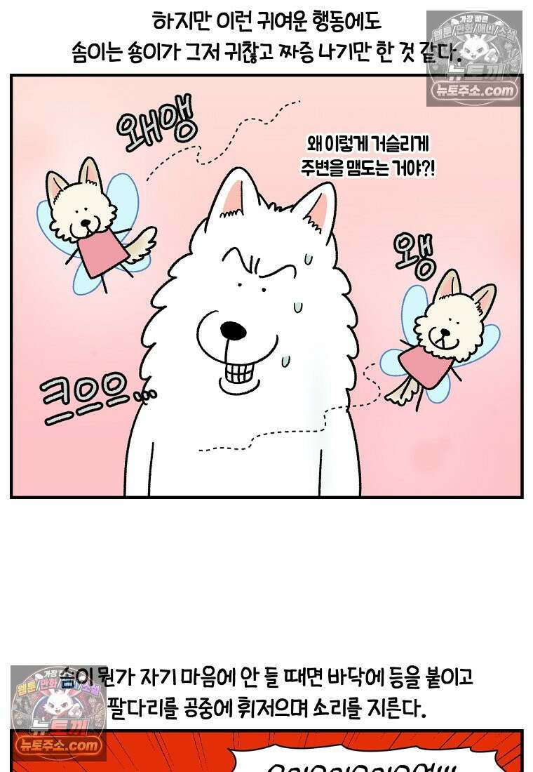 극한견주 시즌2 128화 솜이와 숑이의 싸움 7