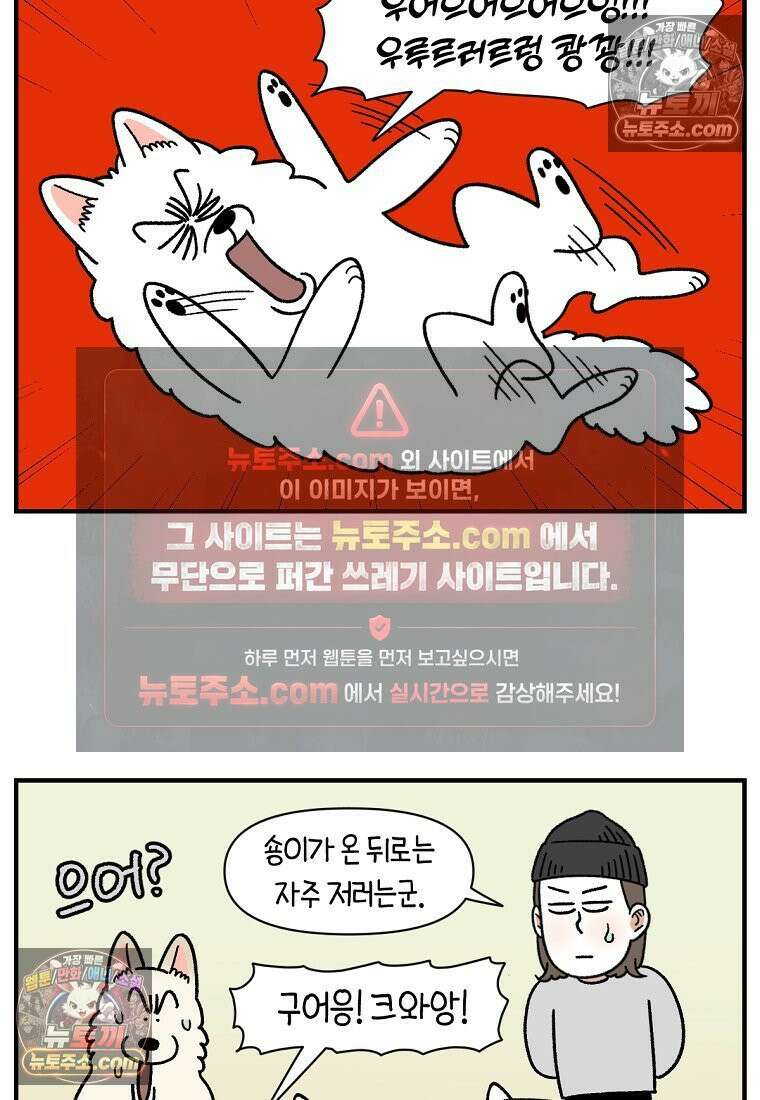 극한견주 시즌2 128화 솜이와 숑이의 싸움 8