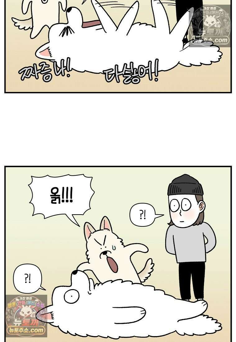 극한견주 시즌2 128화 솜이와 숑이의 싸움 9