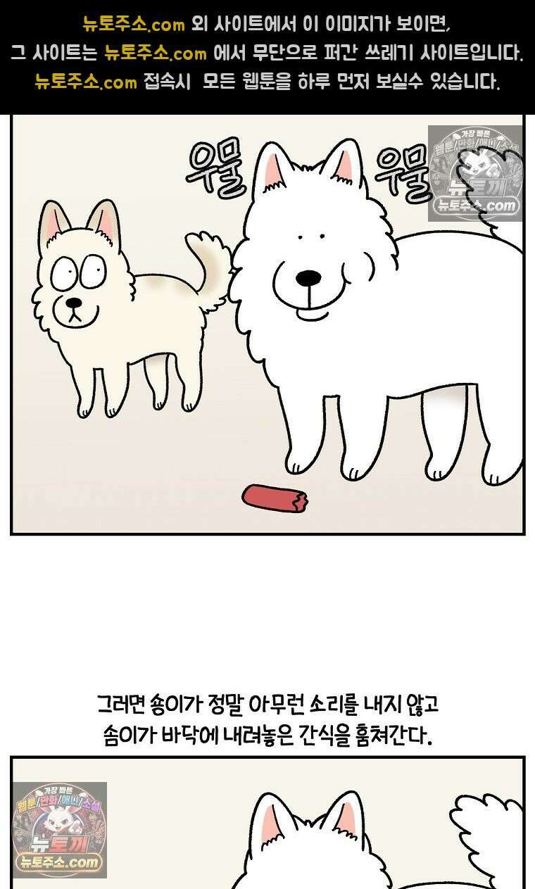 극한견주 시즌2 128화 솜이와 숑이의 싸움 13