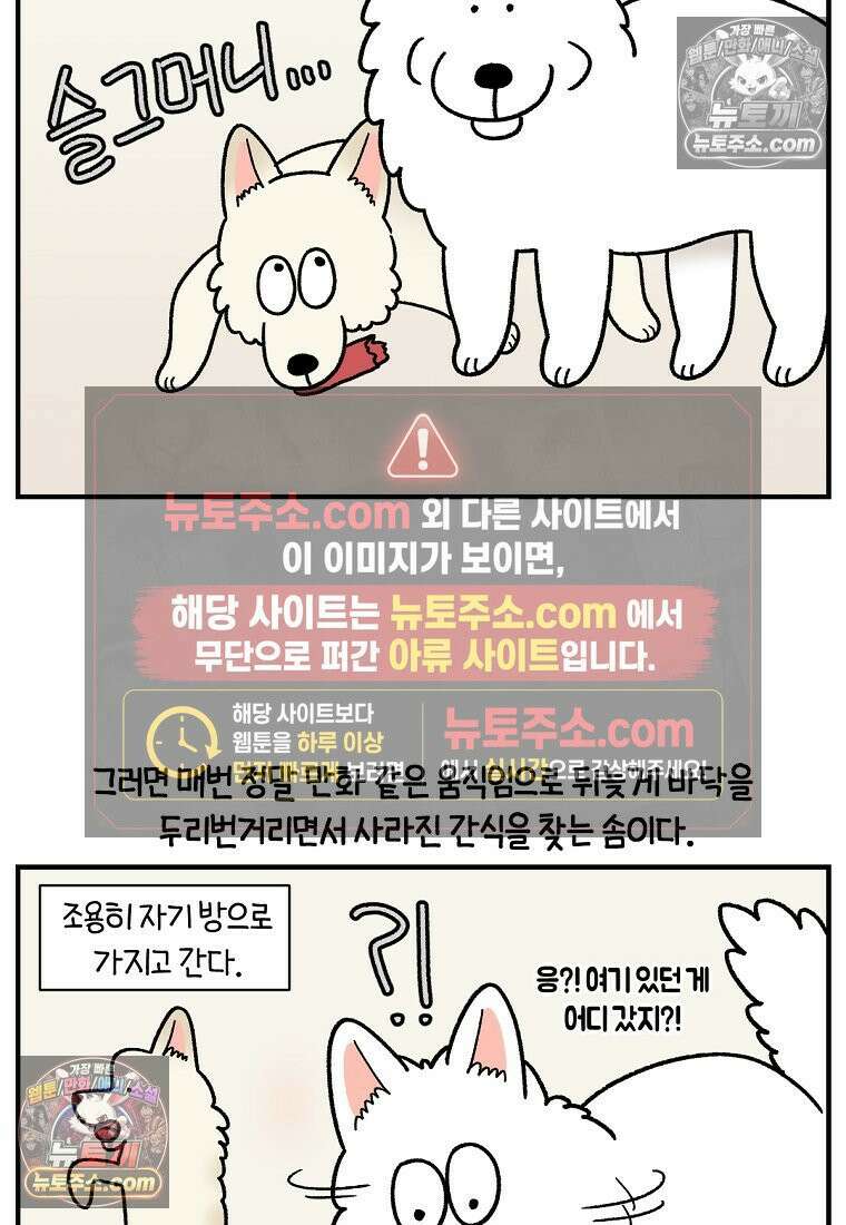 극한견주 시즌2 128화 솜이와 숑이의 싸움 14
