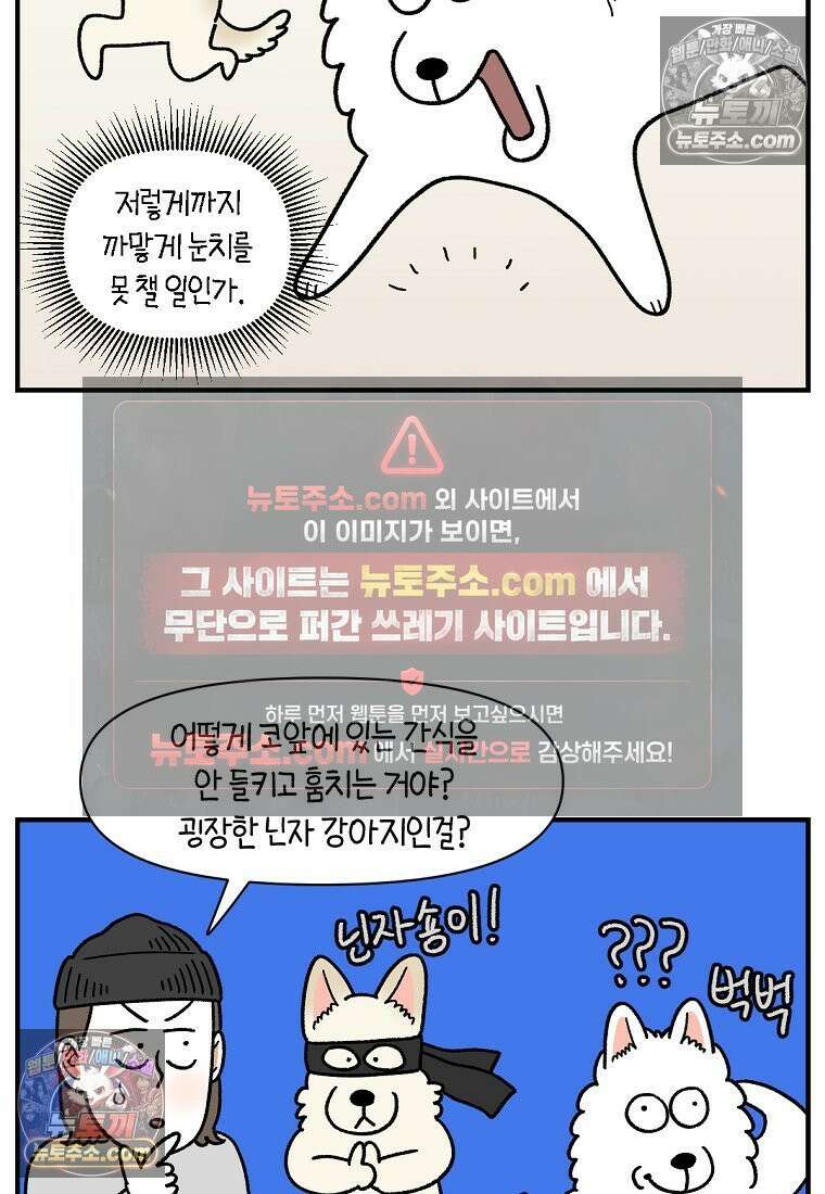 극한견주 시즌2 128화 솜이와 숑이의 싸움 15