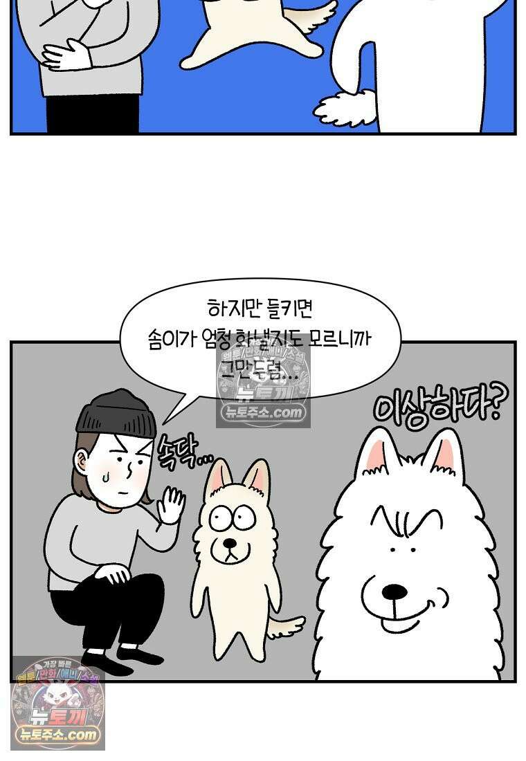극한견주 시즌2 128화 솜이와 숑이의 싸움 16