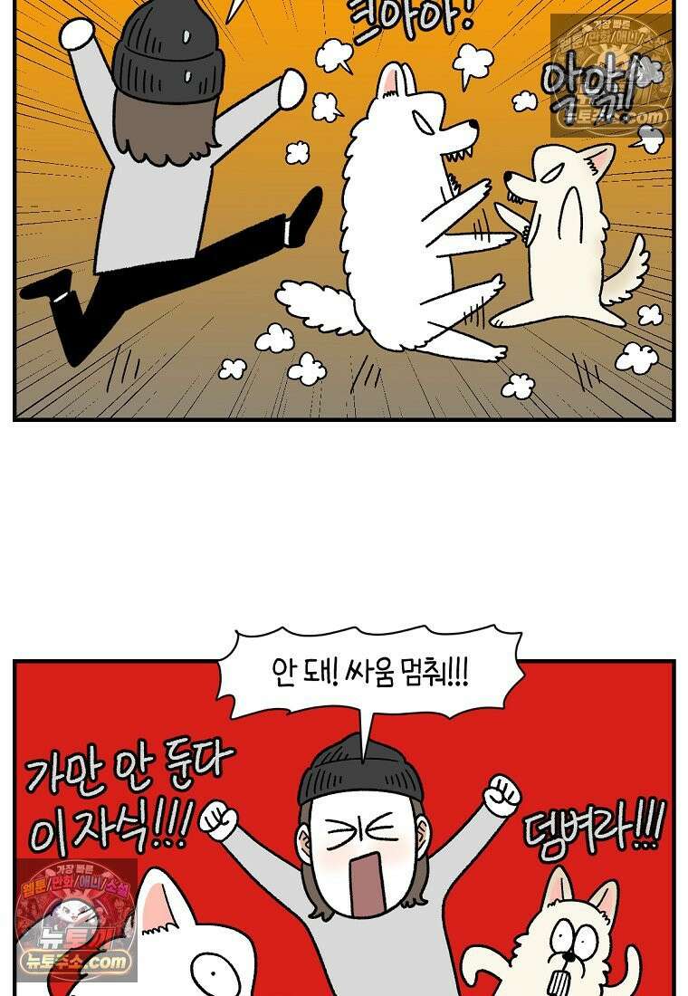 극한견주 시즌2 128화 솜이와 숑이의 싸움 18