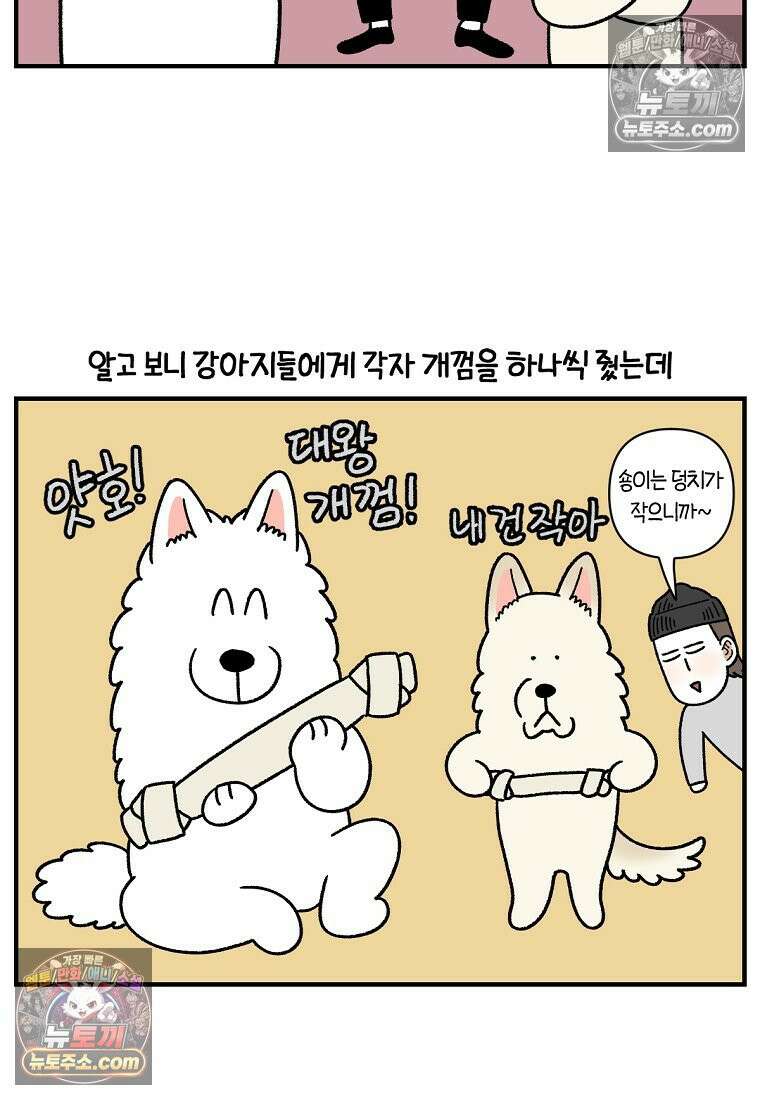 극한견주 시즌2 128화 솜이와 숑이의 싸움 20