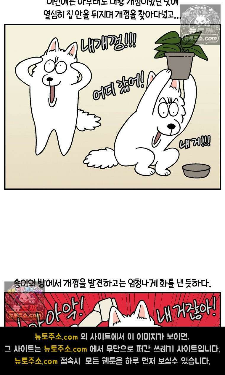 극한견주 시즌2 128화 솜이와 숑이의 싸움 22