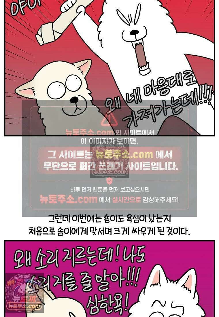 극한견주 시즌2 128화 솜이와 숑이의 싸움 23