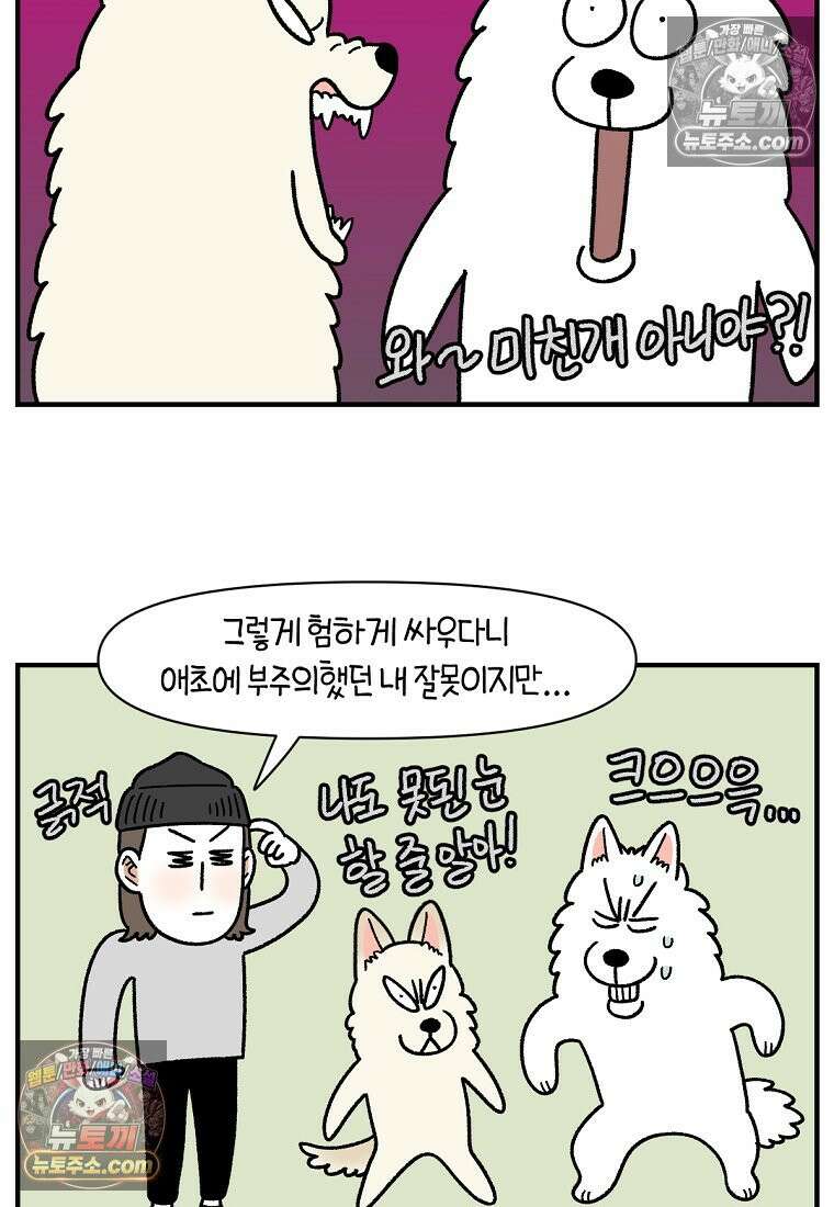 극한견주 시즌2 128화 솜이와 숑이의 싸움 24